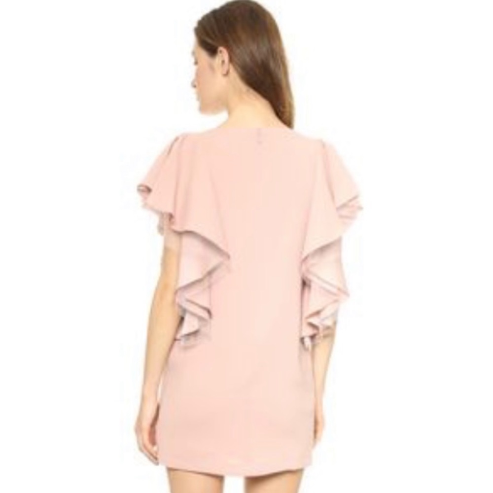 BCBG Max Azria Blush Flutter Sleeve Dress - Picture 2 of 6